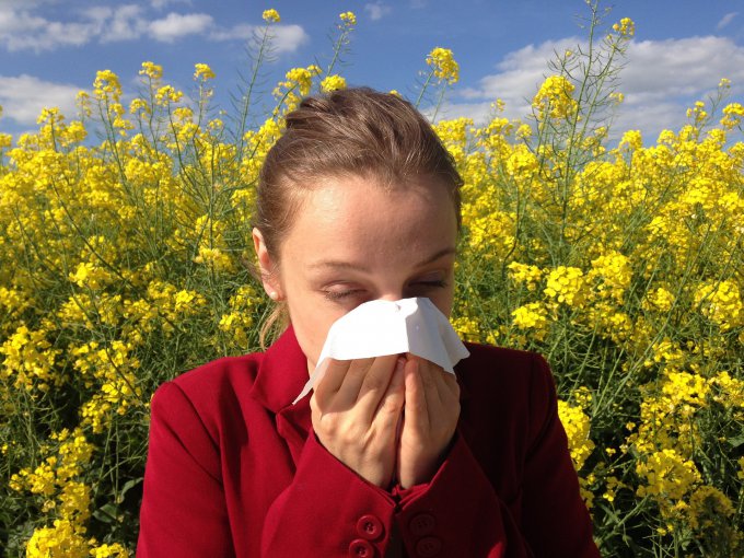 alergia sezonowa